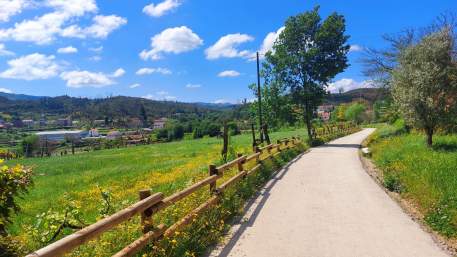 Ecopista do Vouga / Walking