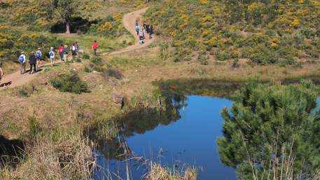 Rota do Guadiana / Walking