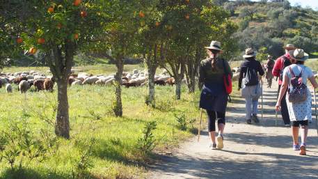 Rota do Guadiana / Walking