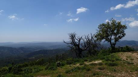 Ligacao 2 - Estacao de Comboios de Loule - Salir