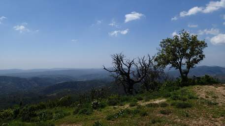 Ligacao 2 - Estacao de Comboios de Loule - Salir