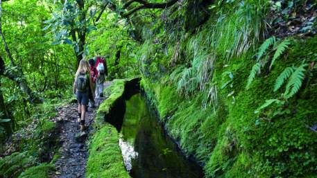 Madeira Levada da portela