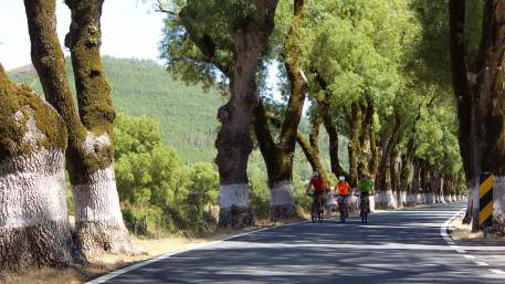 Centro Cycling'Portugal de Castelo de Vide / Marvão - Percurso 14 Beirã - Vermelho