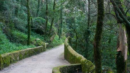 Lisbon Region / Walking