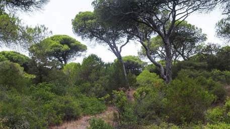 Lisbon Region / Walking