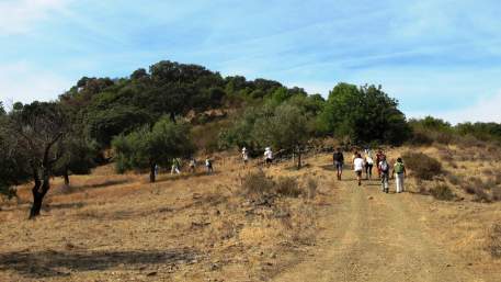 PR10 CTM - Percurso Pedestre "Barrancos" / Walking