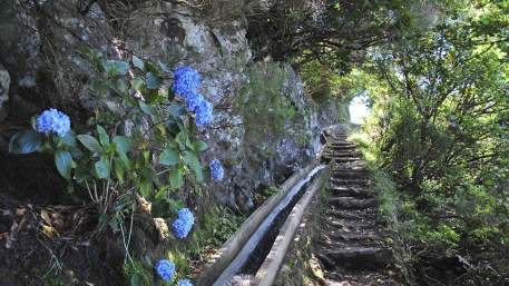 Madeira