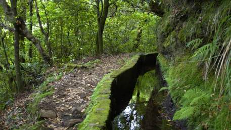 Levada do Furado