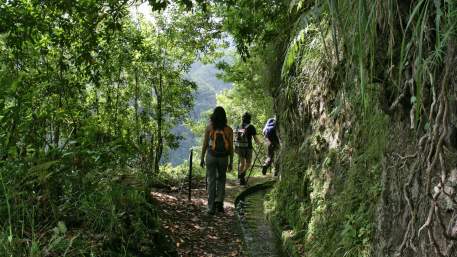 Madeira