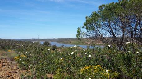 Boa Vista / Cycling