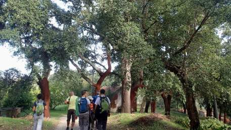 PR6 MCQ - Percurso Pedestre de Marmelete / Walking