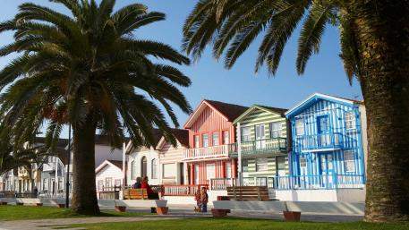 Secção 15 - Figueira da Foz - Ílhavo