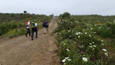 Setor 1 - Alcoutim a Balurcos