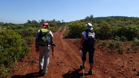 Setor 7 - Salir a Alte / Walking