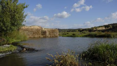 TransAlentejo