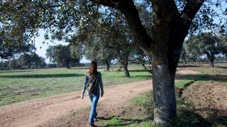 Alentejo