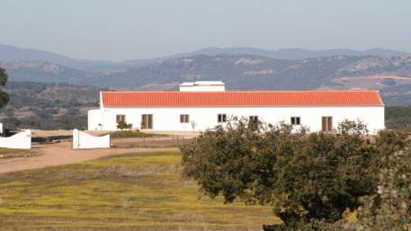 Monte Alto