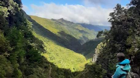 Madeira Wonder Hikes