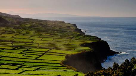 ProIslandTour-passeios turisticos Lda