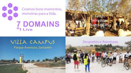 Seven Domains