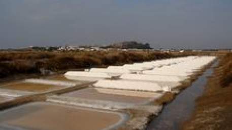 Terras de Sal