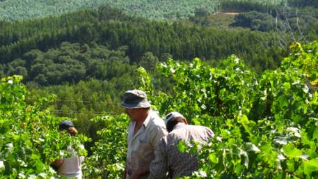 Fazenda da Extremadura