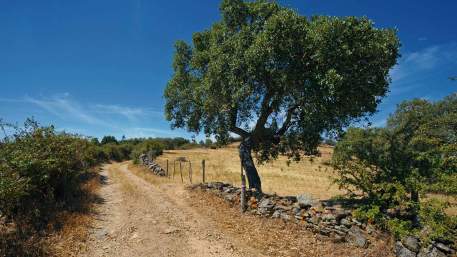 GR40 - Caminho Português Interior de Santiago – Etapa de Nisa