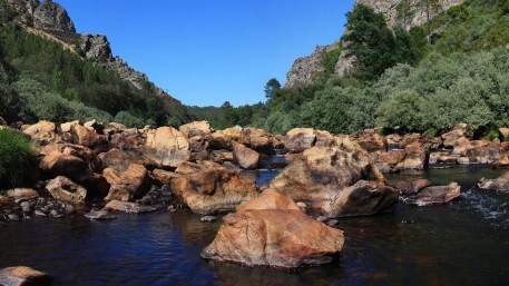 Meandros
