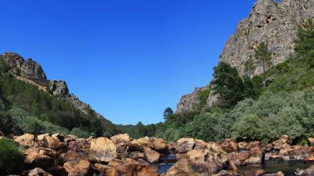 Meandros