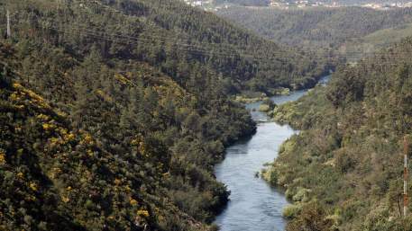 A Caminho do Tejo