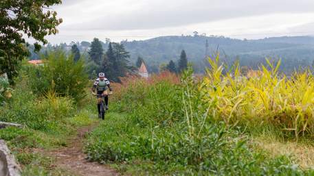 Centro de BTT Arganil - Percurso 31 - Verde