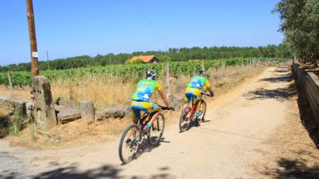Centro de BTT Seia - Percurso 21 - Verde