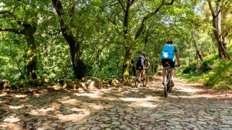 Centro de BTT Valongo - Percurso  02 - Azul