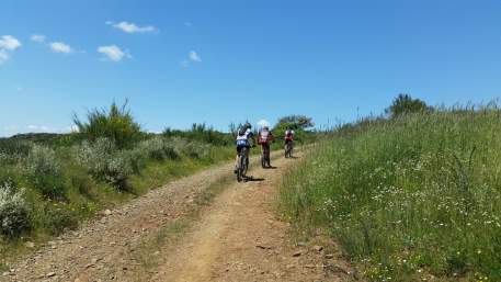 Centro de BTT Vinhais - Percurso 1 - Verde