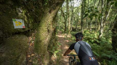 Centro de BTT Vouzela - Percurso 4 - Vermelho