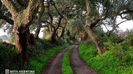 Caminho Histórico / Cercal do Alentejo - Porto Covo
