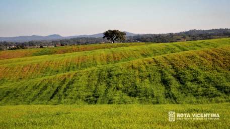 Caminho Histórico / Vale Seco - Cercal do Alentejo
