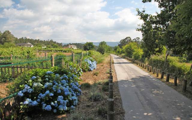 Ecopista do Rio Minho / Cycling