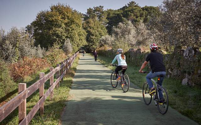 Ecopista Dão / Cycling