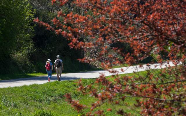 Algarve