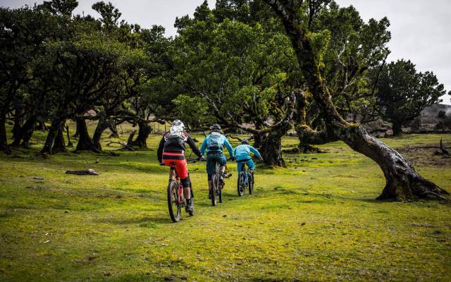 Centro de Cyclin'Portugal do Porto Moniz
