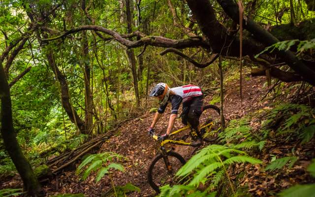 Centro de Cyclin Portugal do Porto Moniz - Madeira - Percurso 7 - Chã da Toca - ENDURO