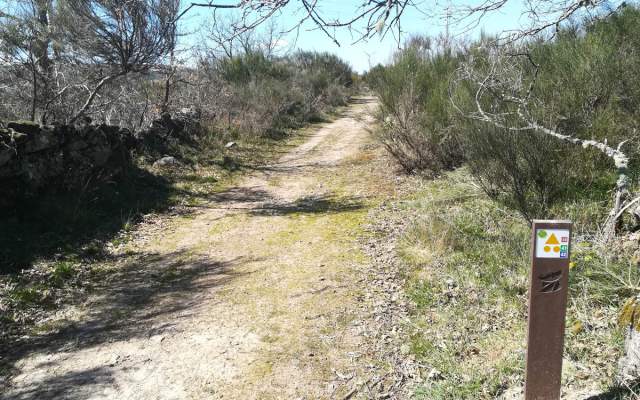 Centro de BTT Montemuro - Percurso 42 - Azul