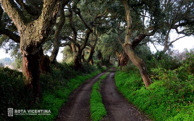 Rota Vicentina / Cycling