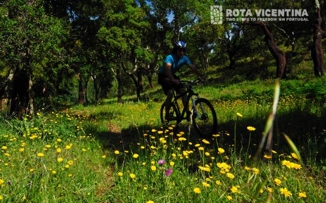 Caminho Histórico / Carrapateira - Vila do Bispo
