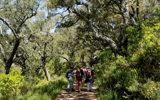 Algarve / Walking