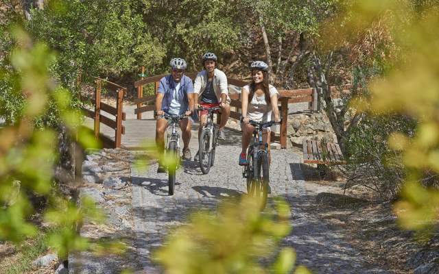 Algarve / Cycling