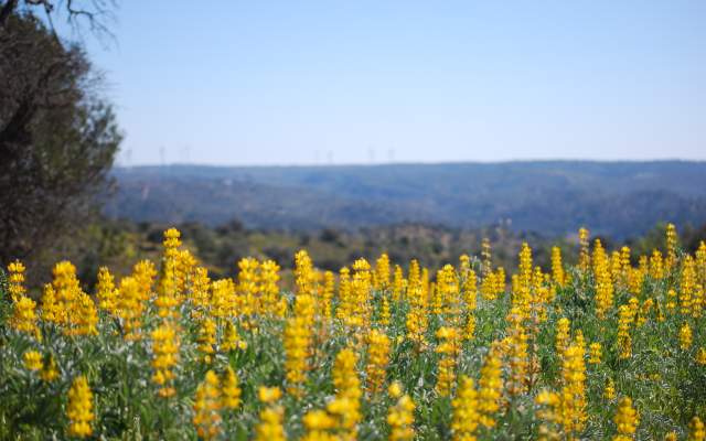 Rota do Guadiana / Cycling