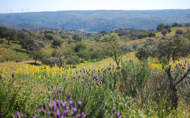 Rota do Guadiana / Walking