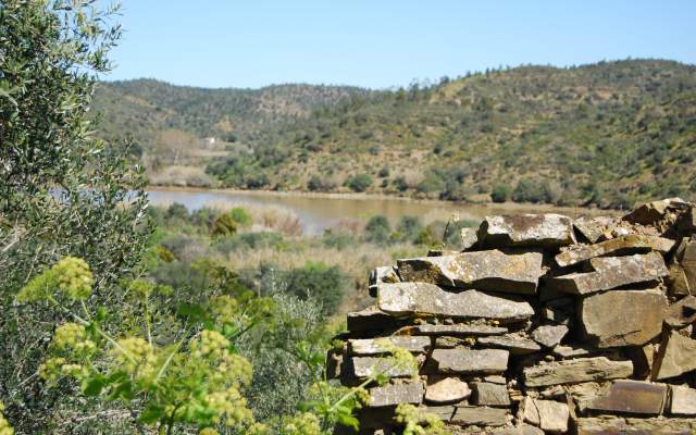 Rota do Guadiana / Cycling